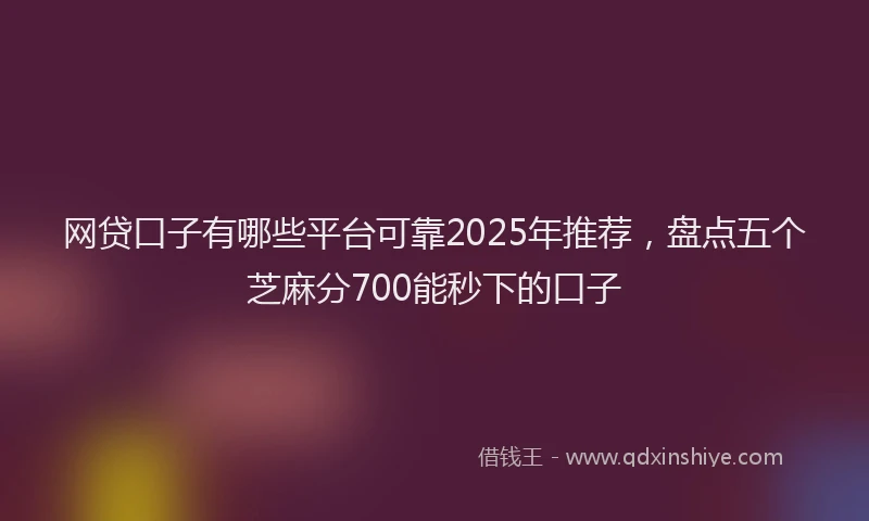 网贷口子有哪些平台可靠2025年推荐，盘点五个芝麻分700能秒下的口子