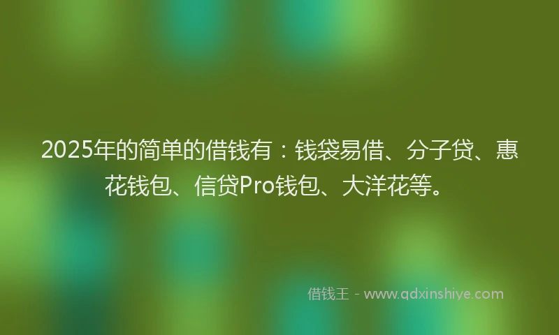 2025年的简单的借钱有：钱袋易借、分子贷、惠花钱包、信贷Pro钱包、大洋花等。
