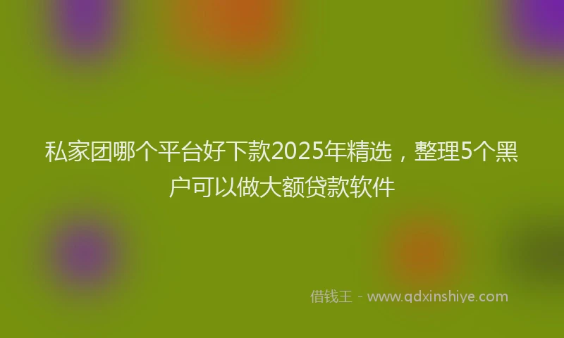 私家团哪个平台好下款2025年精选，整理5个黑户可以做大额贷款软件