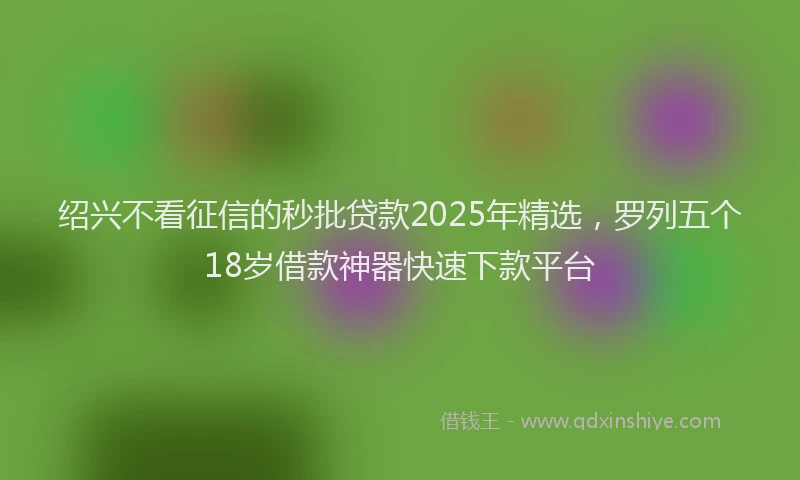 绍兴不看征信的秒批贷款2025年精选，罗列五个18岁借款神器快速下款平台