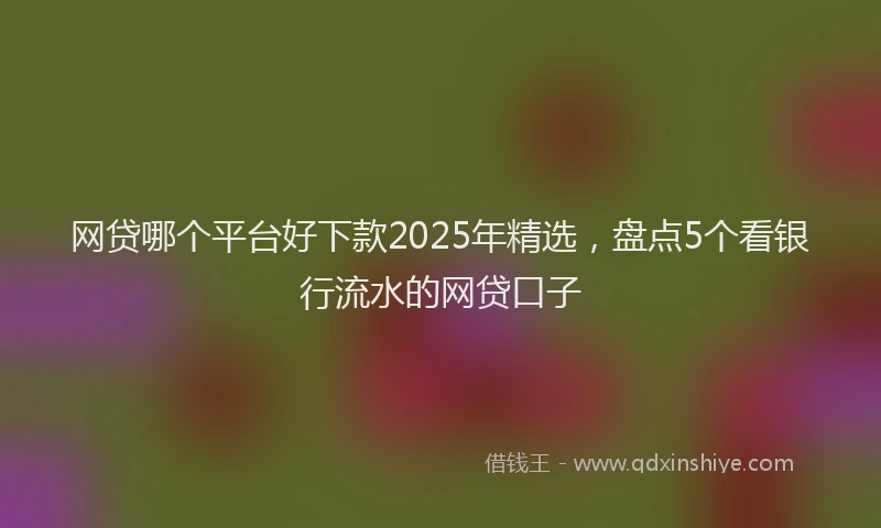 网贷哪个平台好下款2025年精选，盘点5个看银行流水的网贷口子