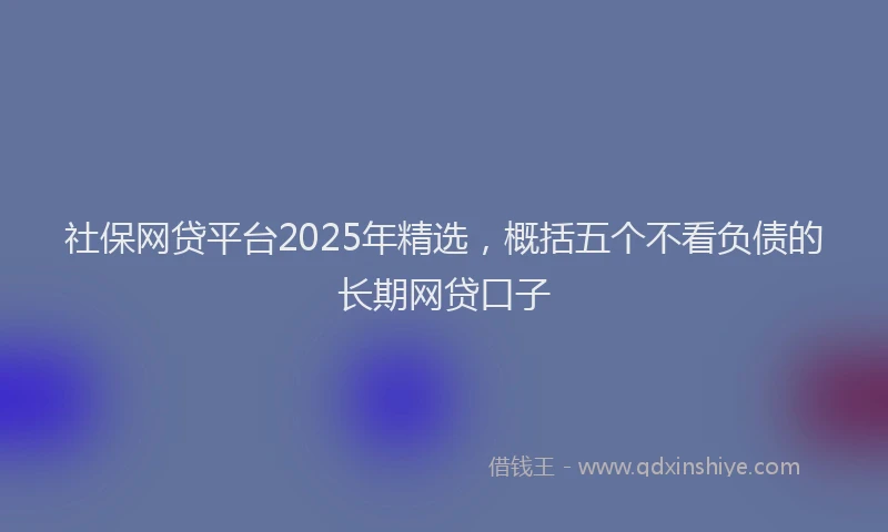 社保网贷平台2025年精选，概括五个不看负债的长期网贷口子