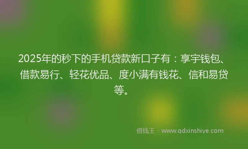 2025年的秒下的手机贷款新口子有：享宇钱包、借款易行、轻花优品、度小满有钱花、信和易贷等。