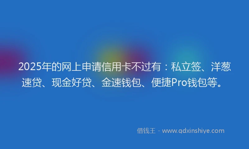 2025年的网上申请信用卡不过有：私立签、洋葱速贷、现金好贷、金速钱包、便捷Pro钱包等。