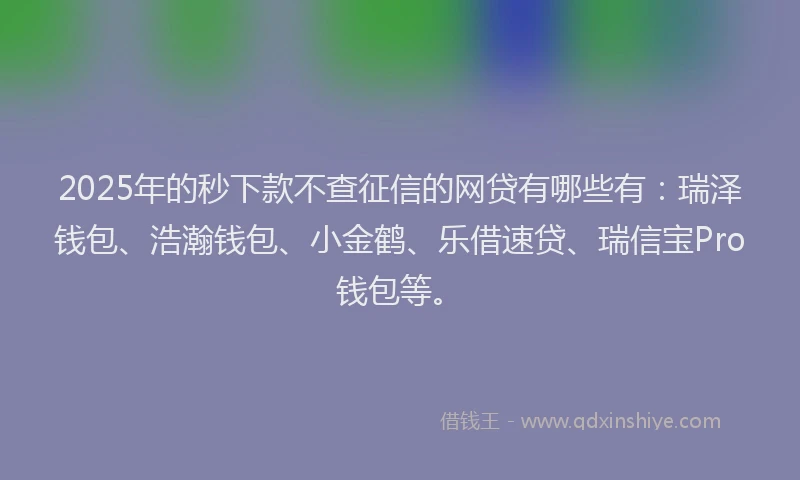 2025年的秒下款不查征信的网贷有哪些有：瑞泽钱包、浩瀚钱包、小金鹤、乐借速贷、瑞信宝Pro钱包等。