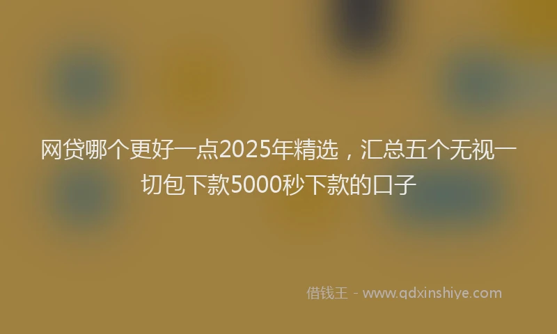 网贷哪个更好一点2025年精选，汇总五个无视一切包下款5000秒下款的口子