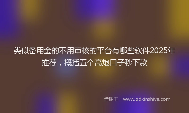 类似备用金的不用审核的平台有哪些软件2025年推荐，概括五个高炮口子秒下款