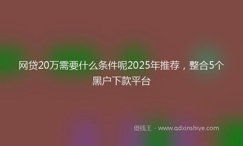 网贷20万需要什么条件呢2025年推荐，整合5个黑户下款平台