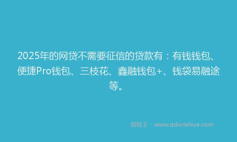 2025年的网贷不需要征信的贷款有：有钱钱包、便捷Pro钱包、三枝花、鑫融钱包+、钱袋易融途等。