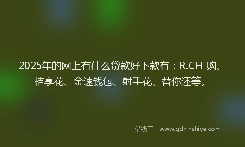 2025年的网上有什么贷款好下款有：RICH-购、桔享花、金速钱包、射手花、替你还等。