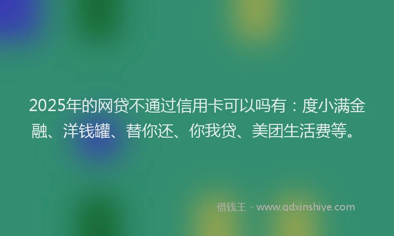 2025年的网贷不通过信用卡可以吗有：度小满金融、洋钱罐、替你还、你我贷、美团生活费等。