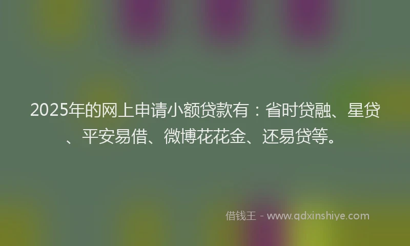 2025年的网上申请小额贷款有：省时贷融、星贷、平安易借、微博花花金、还易贷等。