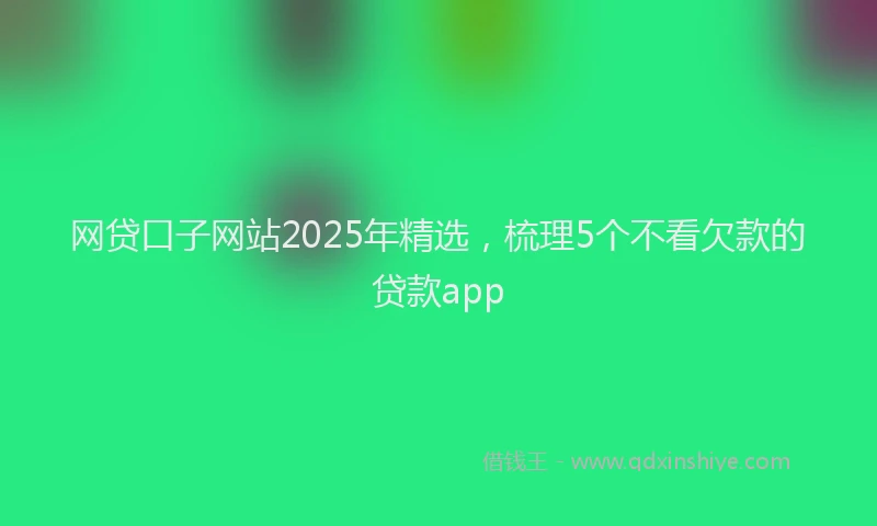 网贷口子网站2025年精选，梳理5个不看欠款的贷款app