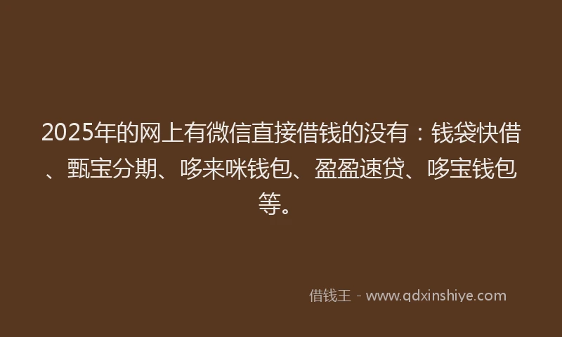 2025年的网上有微信直接借钱的没有：钱袋快借、甄宝分期、哆来咪钱包、盈盈速贷、哆宝钱包等。