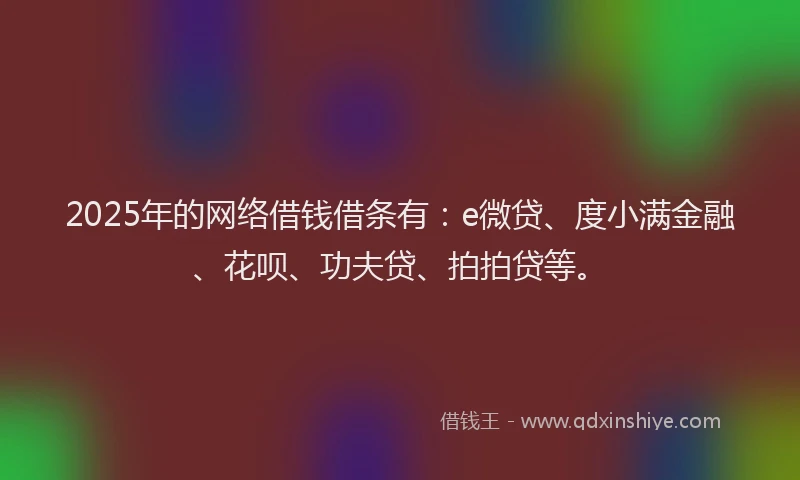 2025年的网络借钱借条有：e微贷、度小满金融、花呗、功夫贷、拍拍贷等。