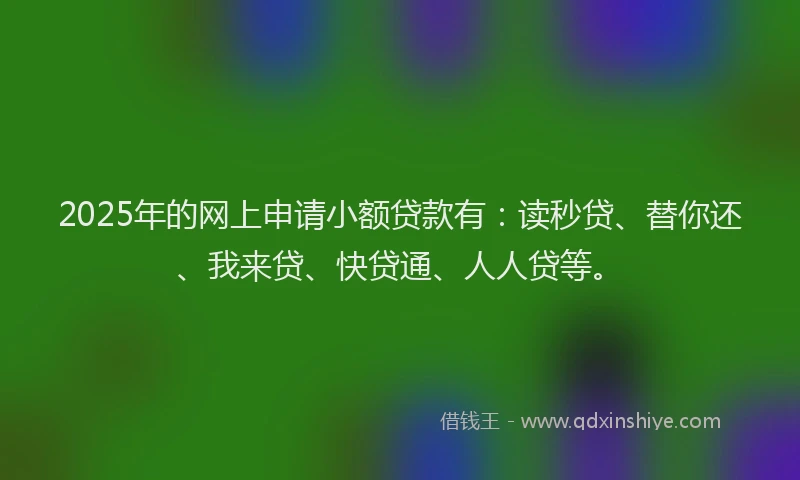 2025年的网上申请小额贷款有：读秒贷、替你还、我来贷、快贷通、人人贷等。