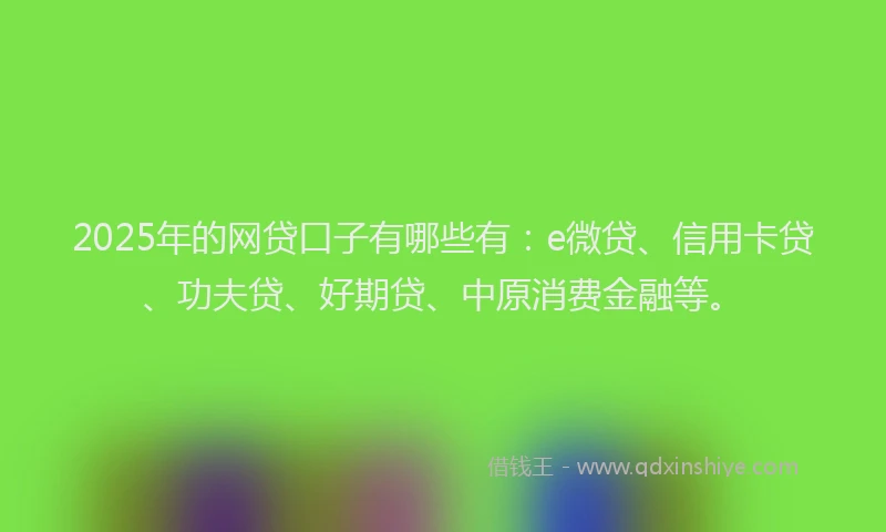 2025年的网贷口子有哪些有：e微贷、信用卡贷、功夫贷、好期贷、中原消费金融等。