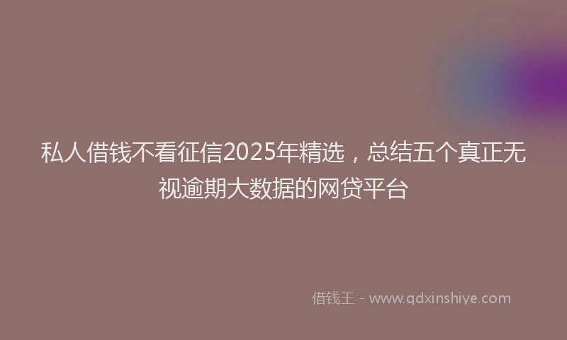 私人借钱不看征信2025年精选，总结五个真正无视逾期大数据的网贷平台