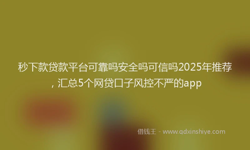 秒下款贷款平台可靠吗安全吗可信吗2025年推荐，汇总5个网贷口子风控不严的app