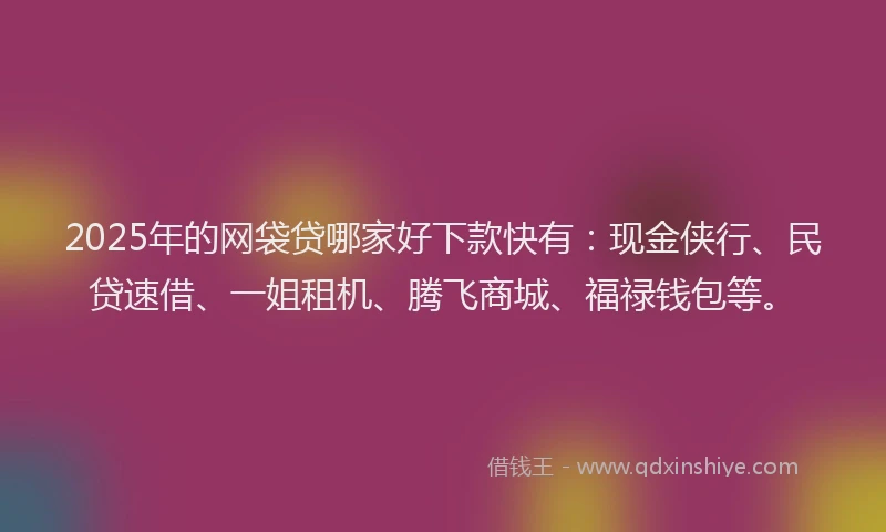 2025年的网袋贷哪家好下款快有：现金侠行、民贷速借、一姐租机、腾飞商城、福禄钱包等。