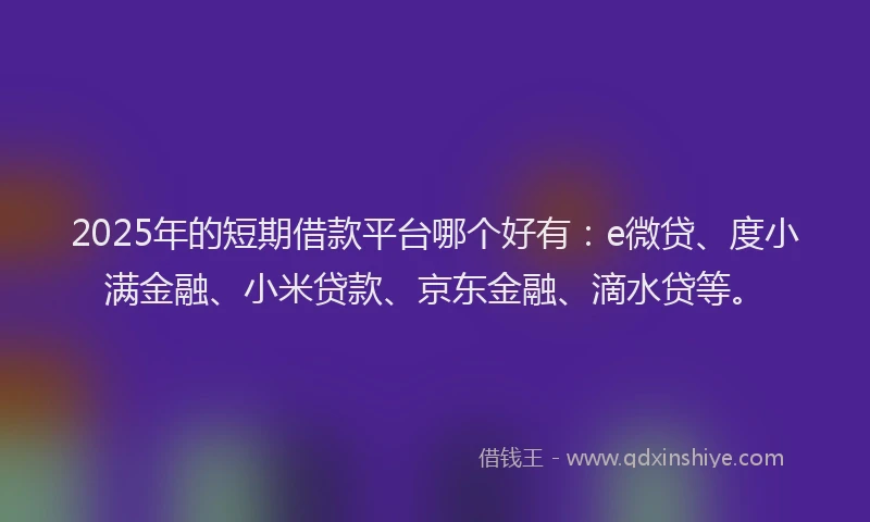 2025年的短期借款平台哪个好有：e微贷、度小满金融、小米贷款、京东金融、滴水贷等。