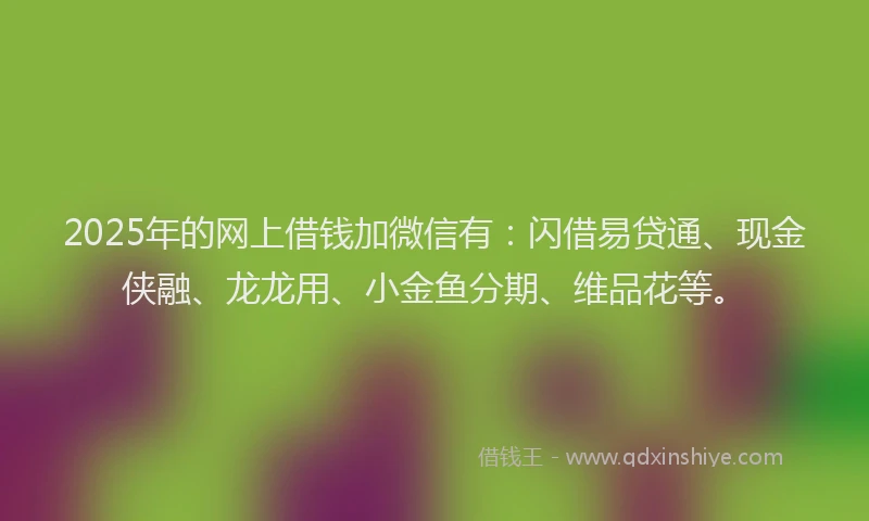 2025年的网上借钱加微信有：闪借易贷通、现金侠融、龙龙用、小金鱼分期、维品花等。