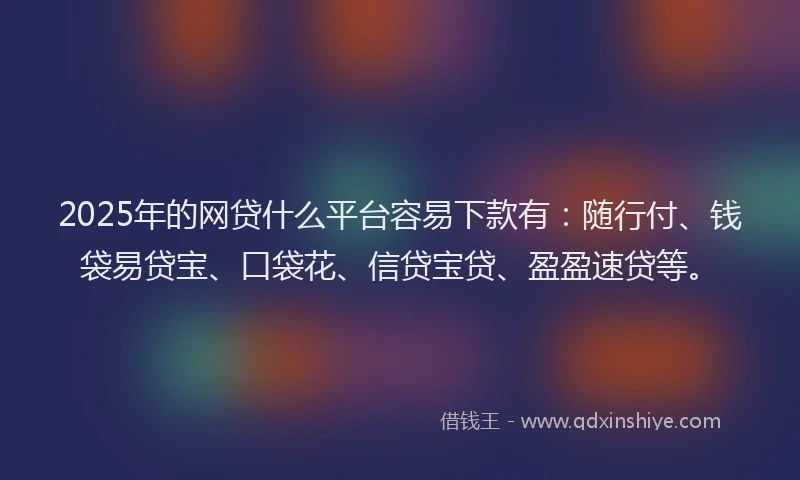 2025年的网贷什么平台容易下款有：随行付、钱袋易贷宝、口袋花、信贷宝贷、盈盈速贷等。
