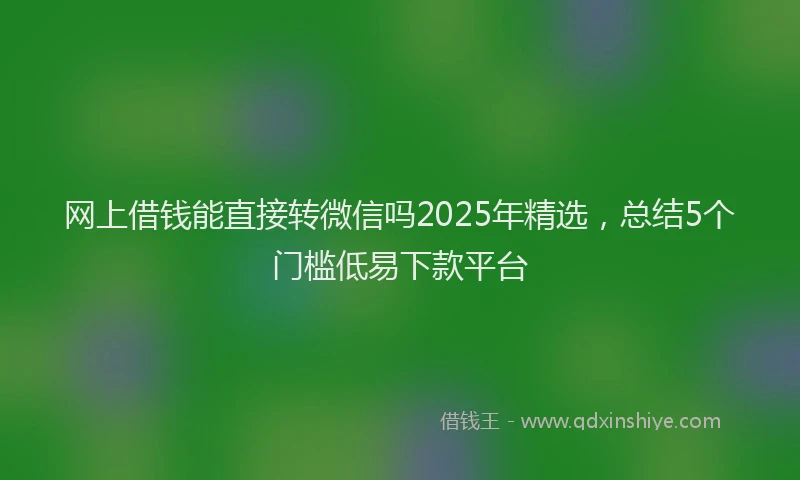 网上借钱能直接转微信吗2025年精选，总结5个门槛低易下款平台
