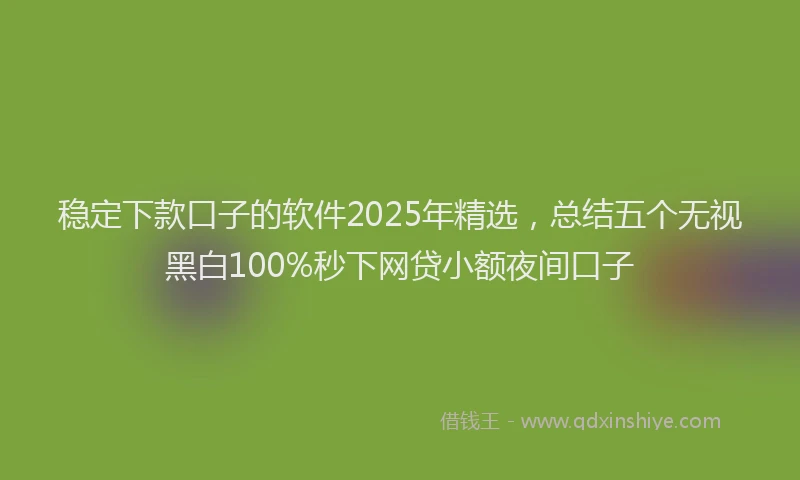 稳定下款口子的软件2025年精选，总结五个无视黑白100%秒下网贷小额夜间口子