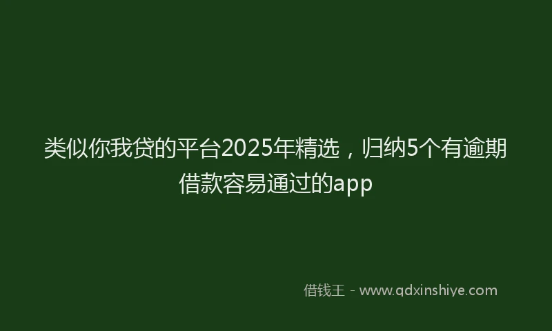 类似你我贷的平台2025年精选，归纳5个有逾期借款容易通过的app