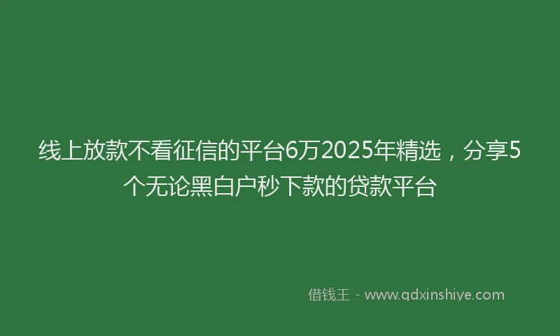 线上放款不看征信的平台6万2025年精选，分享5个无论黑白户秒下款的贷款平台