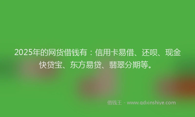 2025年的网货借钱有：信用卡易借、还呗、现金快贷宝、东方易贷、翡翠分期等。