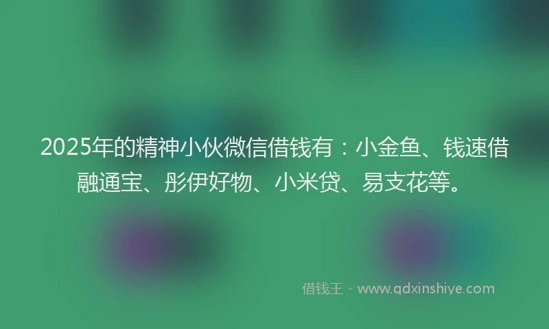 2025年的精神小伙微信借钱有：小金鱼、钱速借融通宝、彤伊好物、小米贷、易支花等。