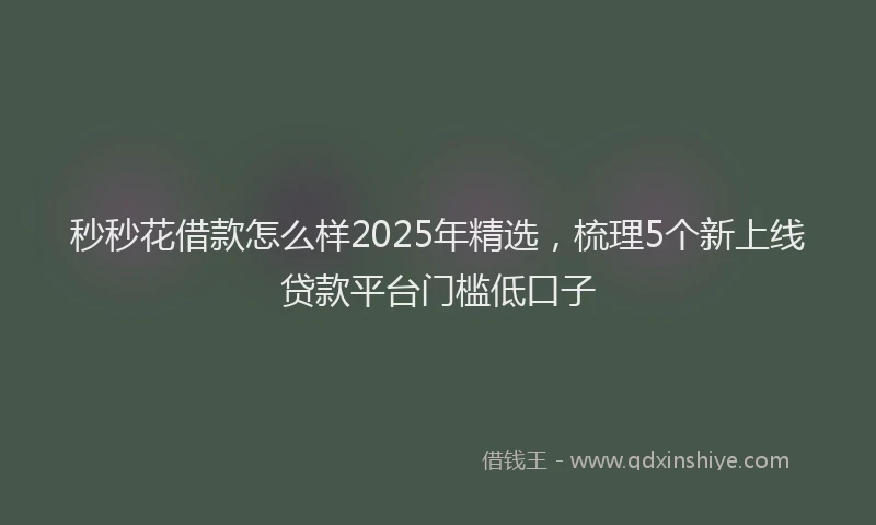 秒秒花借款怎么样2025年精选，梳理5个新上线贷款平台门槛低口子