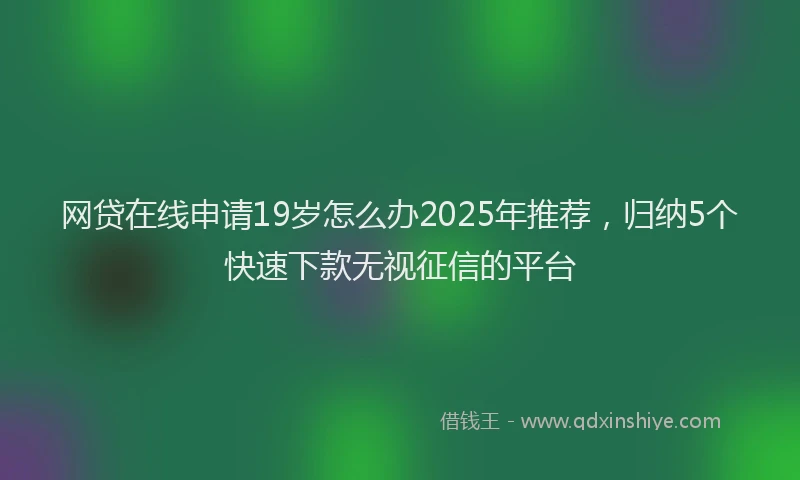 网贷在线申请19岁怎么办2025年推荐，归纳5个快速下款无视征信的平台