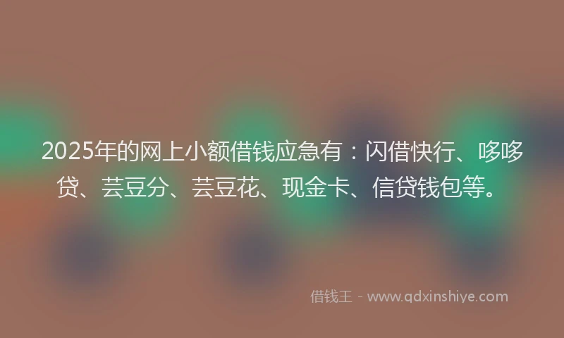 2025年的网上小额借钱应急有：闪借快行、哆哆贷、芸豆分、芸豆花、现金卡、信贷钱包等。