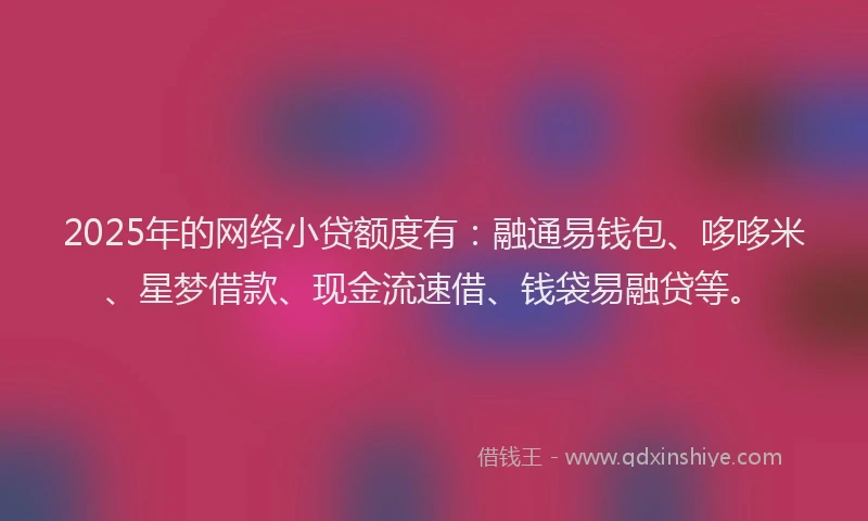 2025年的网络小贷额度有：融通易钱包、哆哆米、星梦借款、现金流速借、钱袋易融贷等。