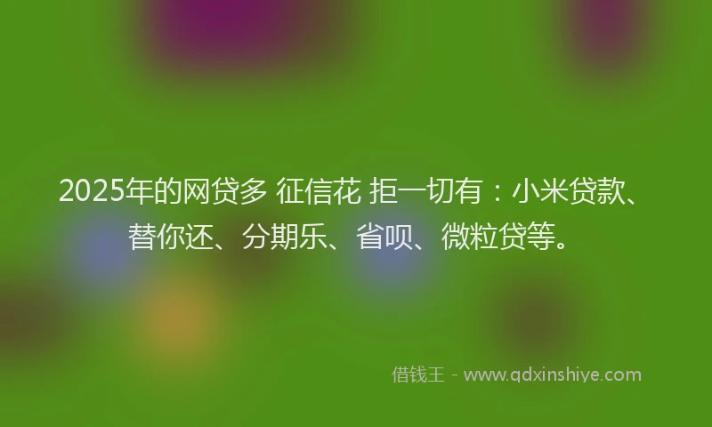 2025年的网贷多 征信花 拒一切有：小米贷款、替你还、分期乐、省呗、微粒贷等。
