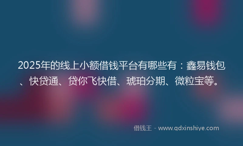 2025年的线上小额借钱平台有哪些有：鑫易钱包、快贷通、贷你飞快借、琥珀分期、微粒宝等。