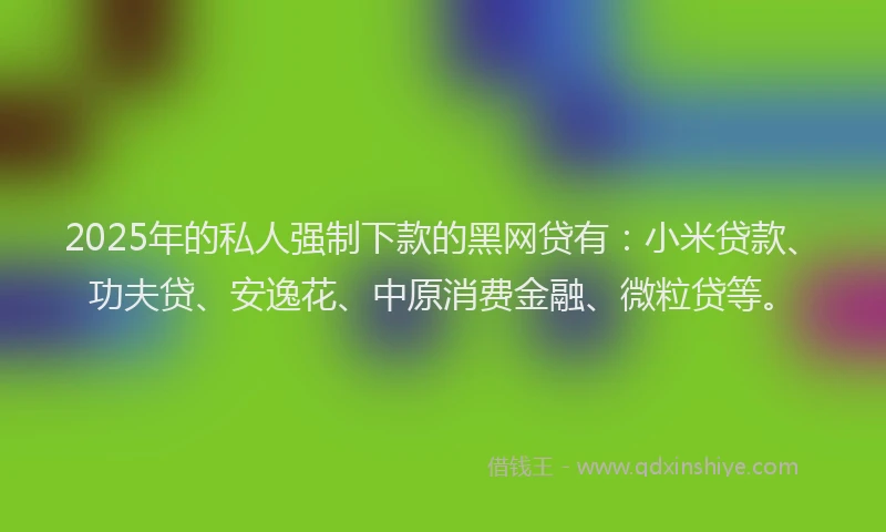 2025年的私人强制下款的黑网贷有：小米贷款、功夫贷、安逸花、中原消费金融、微粒贷等。