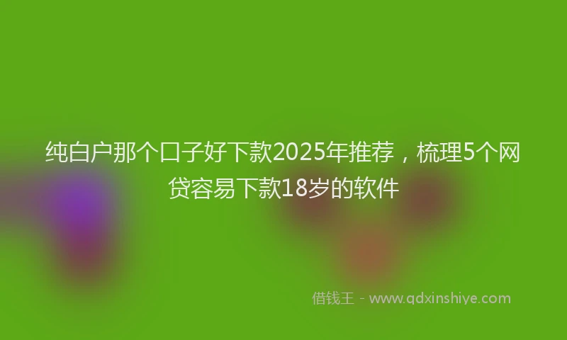 纯白户那个口子好下款2025年推荐，梳理5个网贷容易下款18岁的软件