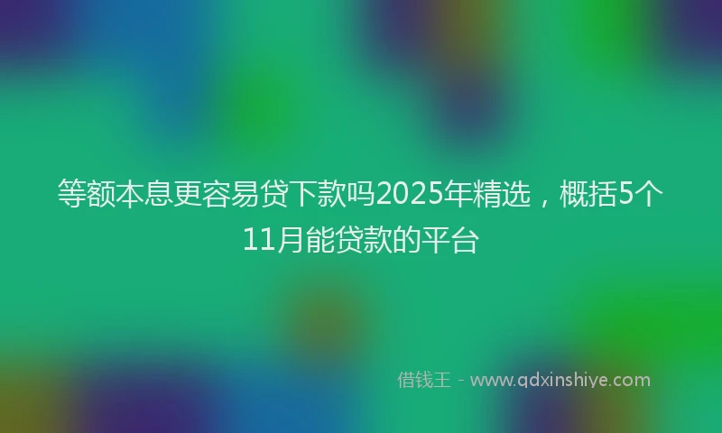 等额本息更容易贷下款吗2025年精选，概括5个11月能贷款的平台