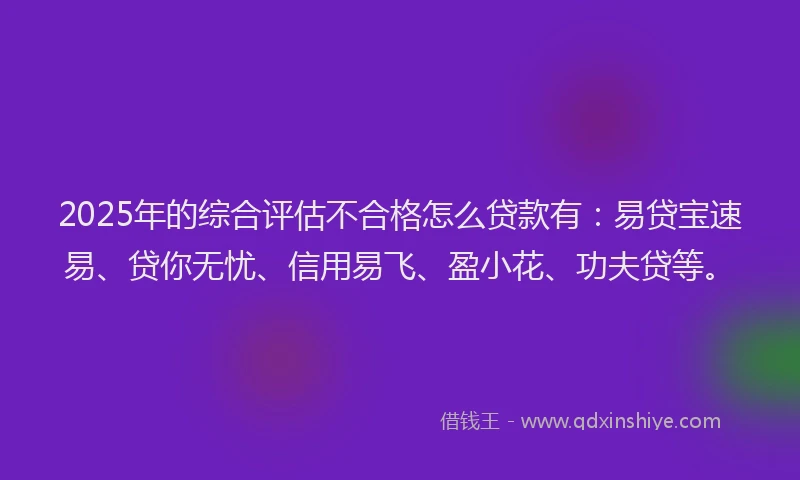 2025年的综合评估不合格怎么贷款有：易贷宝速易、贷你无忧、信用易飞、盈小花、功夫贷等。