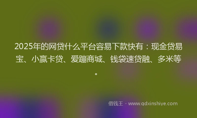 2025年的网贷什么平台容易下款快有：现金贷易宝、小赢卡贷、爱蹦商城、钱袋速贷融、多米等。