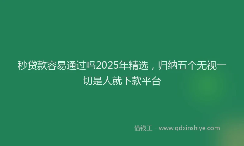 秒贷款容易通过吗2025年精选，归纳五个无视一切是人就下款平台