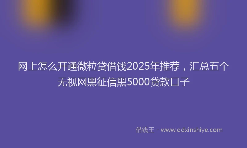 网上怎么开通微粒贷借钱2025年推荐，汇总五个无视网黑征信黑5000贷款口子