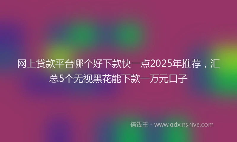 网上贷款平台哪个好下款快一点2025年推荐，汇总5个无视黑花能下款一万元口子