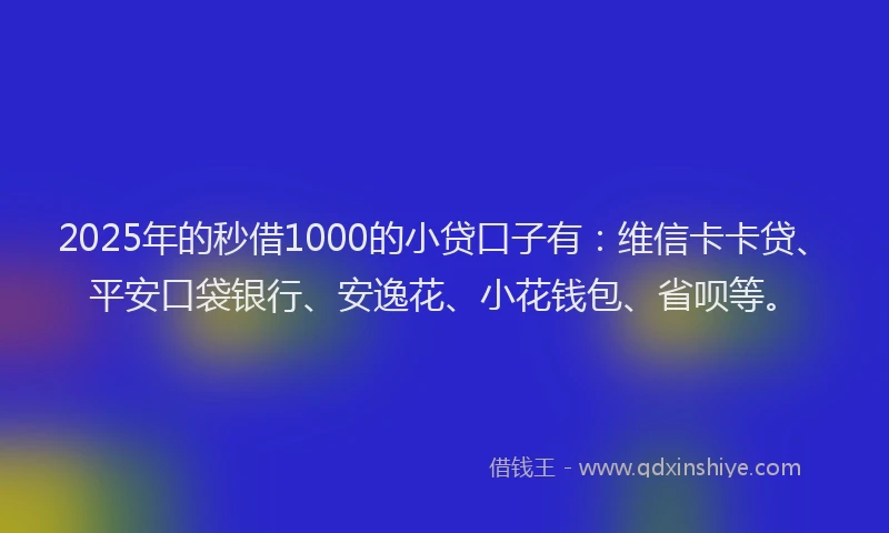 2025年的秒借1000的小贷口子有：维信卡卡贷、平安口袋银行、安逸花、小花钱包、省呗等。