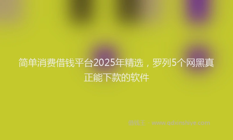 简单消费借钱平台2025年精选，罗列5个网黑真正能下款的软件