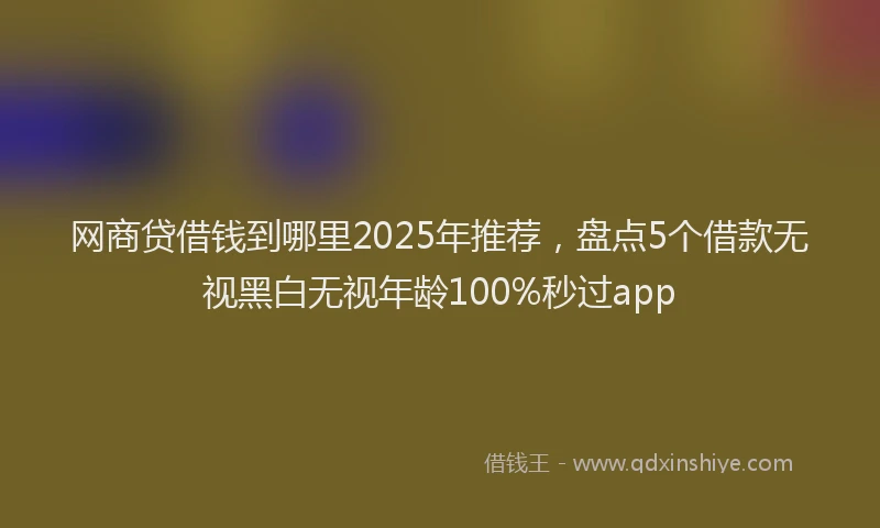 网商贷借钱到哪里2025年推荐，盘点5个借款无视黑白无视年龄100%秒过app